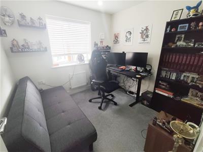 Picture 12